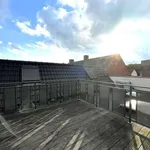 Rent 2 bedroom apartment in Houthalen-Helchteren