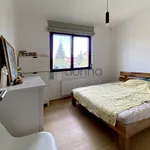 Pronajměte si 2 ložnic/e byt o rozloze 54 m² v Capital City of Prague