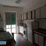 Rent 2 bedroom apartment of 70 m² in Genoa