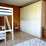 Rent 3 bedroom apartment of 80 m² in Cecina