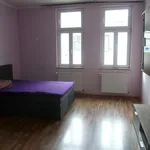 Miete 1 Schlafzimmer wohnung von 40 m² in Vienna