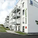 Miete 1 Schlafzimmer wohnung von 35 m² in Aschaffenburg