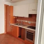 Rent 2 bedroom apartment of 45 m² in Rome