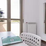 Rent a room in bologna