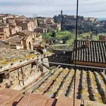 Rent 2 bedroom apartment of 50 m² in Siena