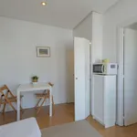 Alquilar 1 dormitorio apartamento en madrid