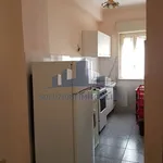 Rent 2 bedroom apartment of 50 m² in Patti