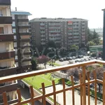 Rent 3 bedroom apartment of 120 m² in Paderno Dugnano