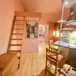 Rent 1 bedroom apartment of 48 m² in Praha 1