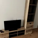 Rent 1 bedroom apartment of 33 m² in Elbląg