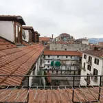 Rent 1 bedroom apartment of 40 m² in turin