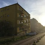 Rent 1 bedroom apartment of 43 m² in Brno