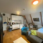 Rent a room of 24 m² in Hortusbuurt-Ebbingekwartier