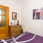 Rent 1 bedroom apartment of 50 m² in madrid