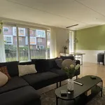 Rent 3 bedroom apartment of 74 m² in Leeuwarden