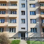 Rent 1 bedroom apartment of 23 m² in Brno