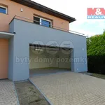 Rent 1 bedroom house of 412 m² in Prague