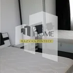 Rent 2 bedroom apartment of 48 m² in Ploiești