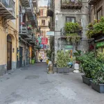 Rent 1 bedroom apartment in Palermo