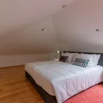 Rent 1 bedroom apartment in lisbon