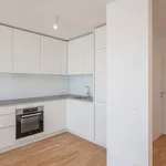 Rent 3 bedroom apartment of 62 m² in Vienna