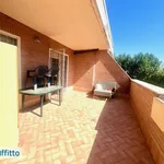 Rent 2 bedroom apartment of 62 m² in Rome