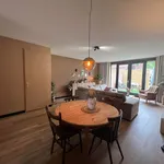 Rent 4 bedroom house of 112 m² in Langenboom