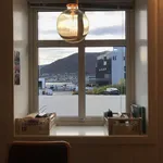 Rent a room of 8 m² in Tromsø