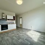 Pronájem bytu 1+1, 42 m²