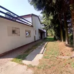 Rent 2 bedroom house of 80 m² in Toruń