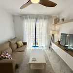 Rent 1 bedroom apartment in malaga