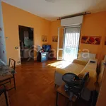 Rent 2 bedroom apartment of 65 m² in Monza