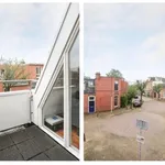 Rent 2 bedroom apartment of 44 m² in Welgelegen