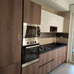 Rent 3 bedroom apartment of 75 m² in Turin