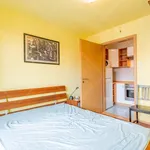 Rent 1 bedroom apartment of 41 m² in Budapest