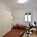 Rent 4 bedroom apartment of 100 m² in Pisa