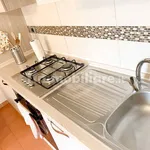 Rent 2 bedroom apartment of 45 m² in Pisa