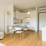 Rent 1 bedroom apartment of 30 m² in Firenze