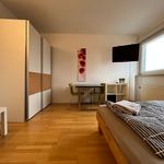 Rent 2 bedroom apartment of 50 m² in Karlsruhe