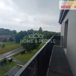 Pronájem bytu 3+1 + balkon, 66 m2, Nová Ves u Sokolova