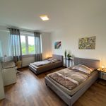 Rent 2 bedroom apartment of 80 m² in Dortmund