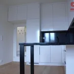 Pronajměte si 2 ložnic/e byt o rozloze 41 m² v Prague