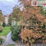 Rent 1 bedroom apartment in Prague