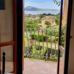 Rent 1 bedroom apartment of 55 m² in Olbia