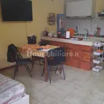 Rent 1 bedroom apartment of 45 m² in Rome