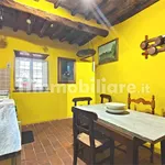 3-room flat via di petrognano, Petrognano - San Gennaro, Capannori