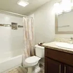 Rent 1 bedroom apartment in Houston