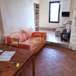 Rent 2 bedroom apartment of 50 m² in Siena