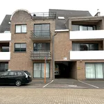 Huur 2 slaapkamer appartement van 75 m² in Beringen