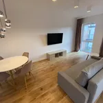 Rent 3 bedroom apartment of 75 m² in Lodz